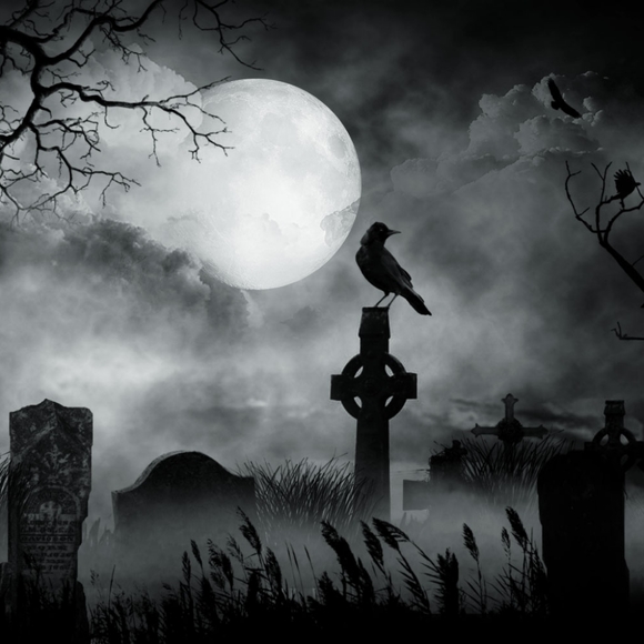 Nevermore - Picture 1 of 1